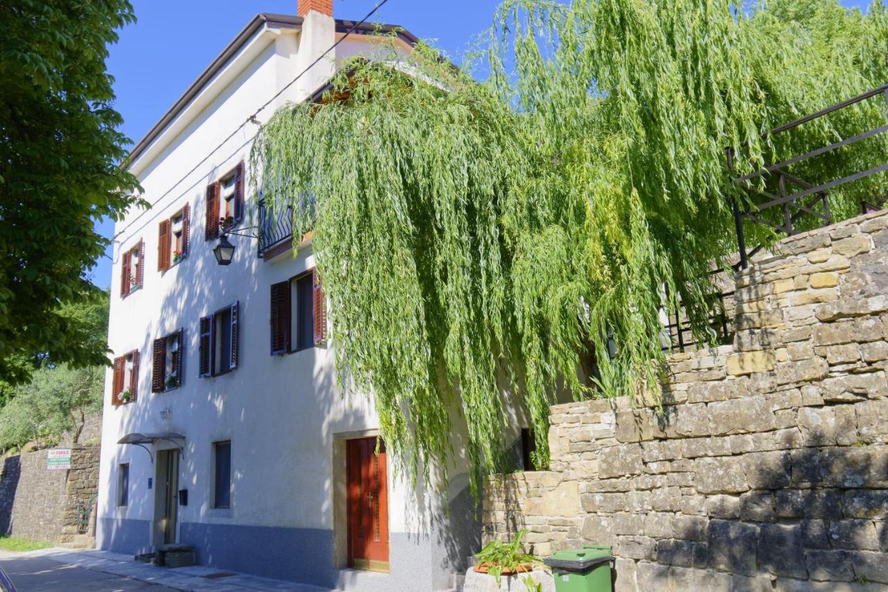 Apartments Smile By Rent Istria Grožnjan Cameră foto